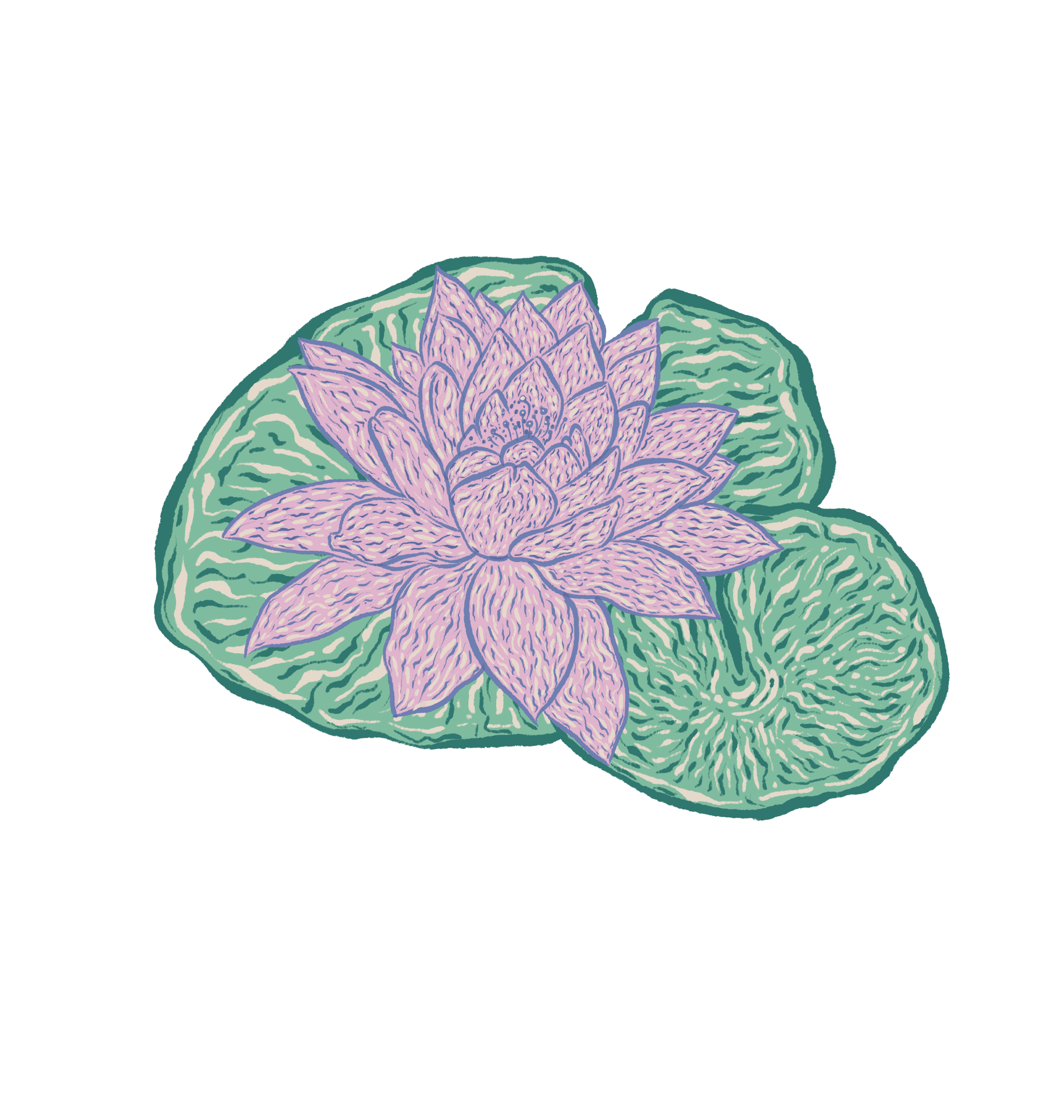 lotus with flower